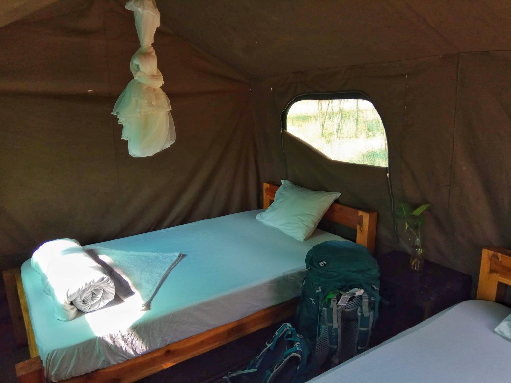 Internal view of my tent