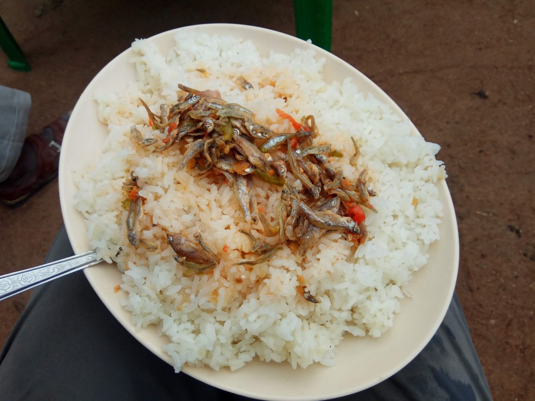 A plate of rice topped with tiny fish