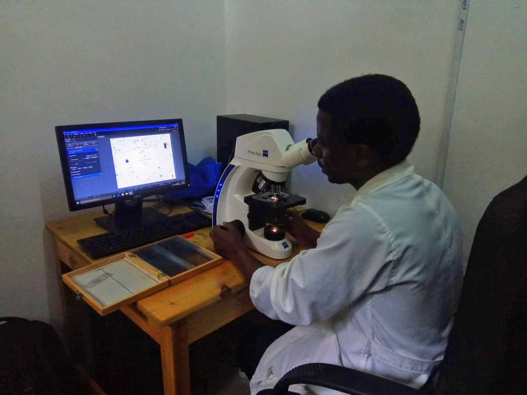 A lab technician examining slides of TB samples under a microscope