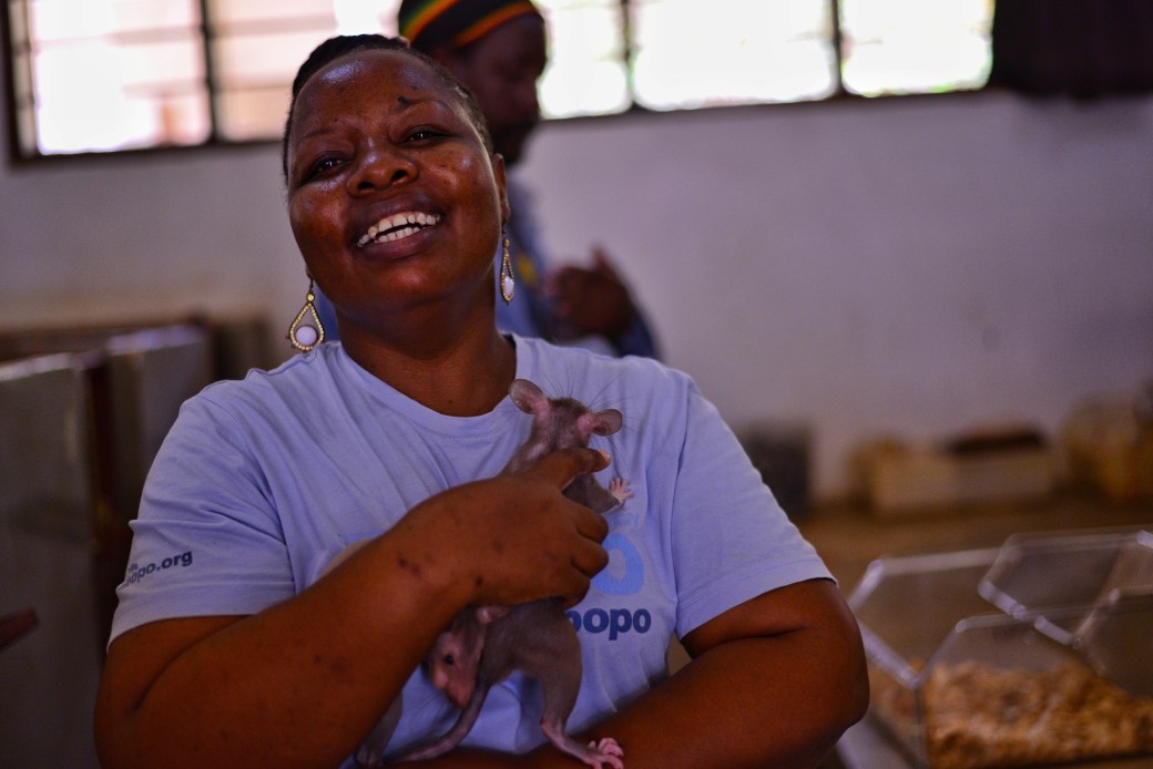 Pendo the Welfare Officer having a cuddle with a baby rat